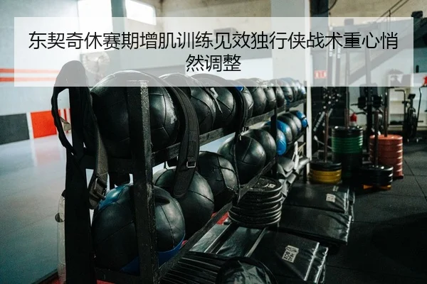 东契奇休赛期增肌训练见效独行侠战术重心悄然调整 | kaiyun
